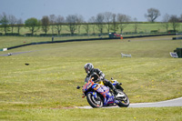 Lower Group Multicolour Bikes